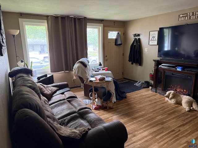822 S Jessica Ave, Sioux Falls, SD 57103 - living area with wood finished floors, healthy amount of natural light, and a glass covered fireplace