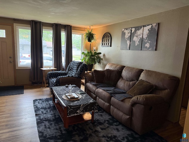 822 S Jessica Ave, Sioux Falls, SD 57103 - living area with healthy amount of natural light, wood finished floors, and a textured wall