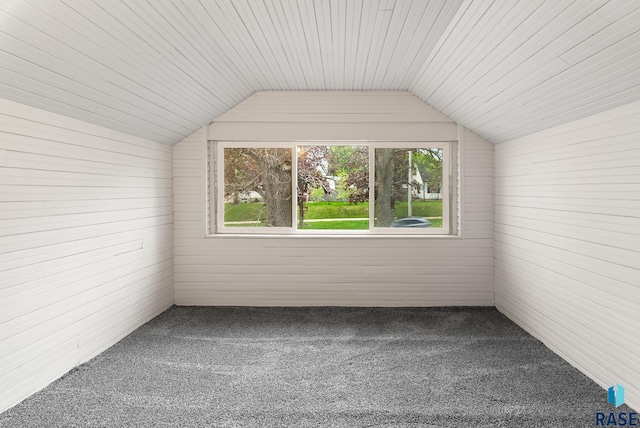 1530 W 10th St, Sioux Falls, SD 57104 - bonus room featuring lofted ceiling, carpet, and wood walls