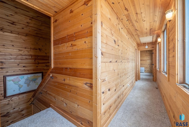 6604 Peninsula Pt, Wentworth, SD 57075 - corridor with wooden ceiling, wooden walls, and carpet floors