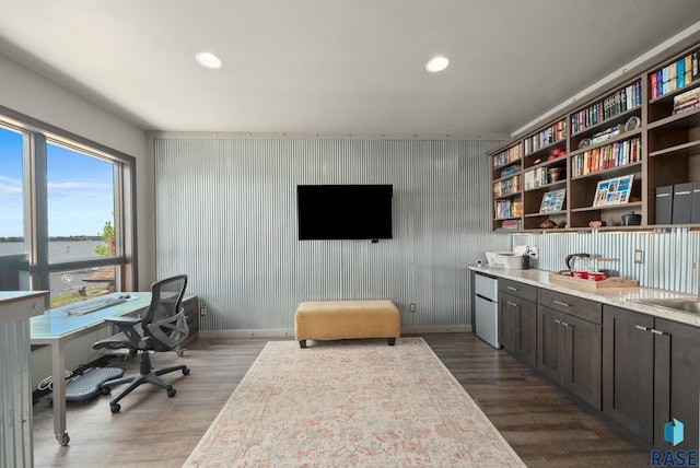 6604 Peninsula Pt, Wentworth, SD 57075 - office space featuring dark wood-type flooring, baseboards, recessed lighting, and a sink