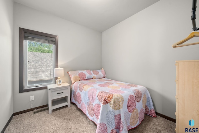 6604 Peninsula Pt, Wentworth, SD 57075 - bedroom with carpet floors and baseboards