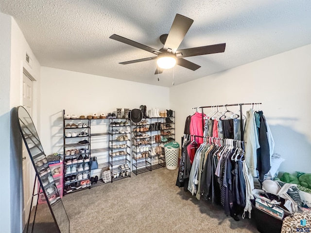 101 N Pipestone St Unit 3, Brandon, SD 57005 - spacious closet featuring carpet floors and ceiling fan
