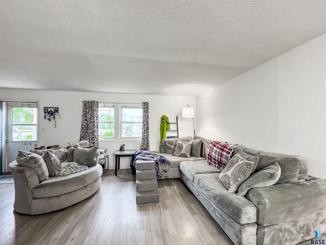 101 N Pipestone St Unit 3, Brandon, SD 57005 - living room featuring light wood-style flooring, healthy amount of natural light, and a textured ceiling