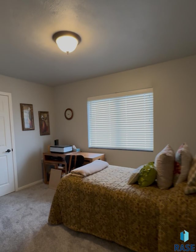 203 Cherry Ln, Chamberlain, SD 57325 - carpeted bedroom with baseboards