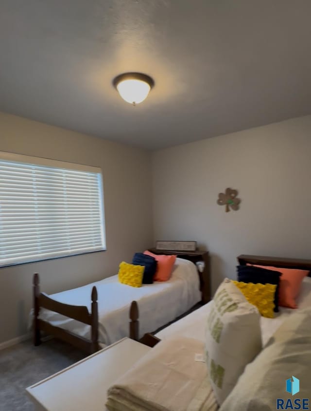 203 Cherry Ln, Chamberlain, SD 57325 - bedroom featuring carpet floors