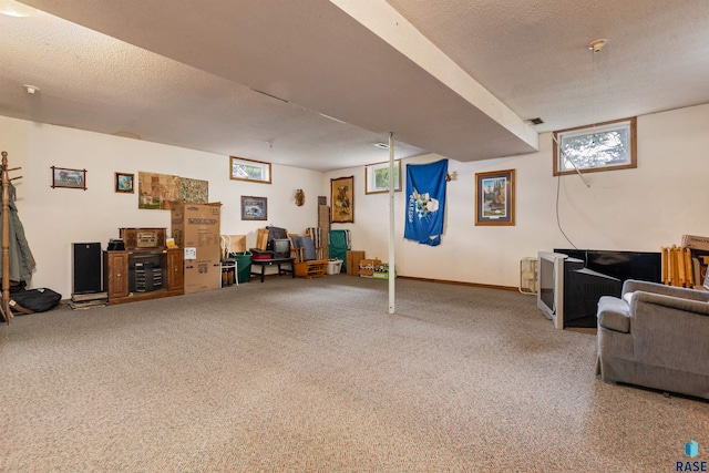 47916 254th St, Garretson, SD 57030 - basement with carpet flooring and a textured ceiling
