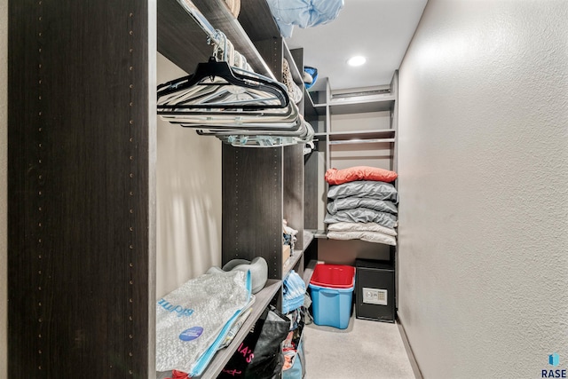 1716 E Tracy Ln, Sioux Falls, SD 57103 - walk in closet with carpet floors