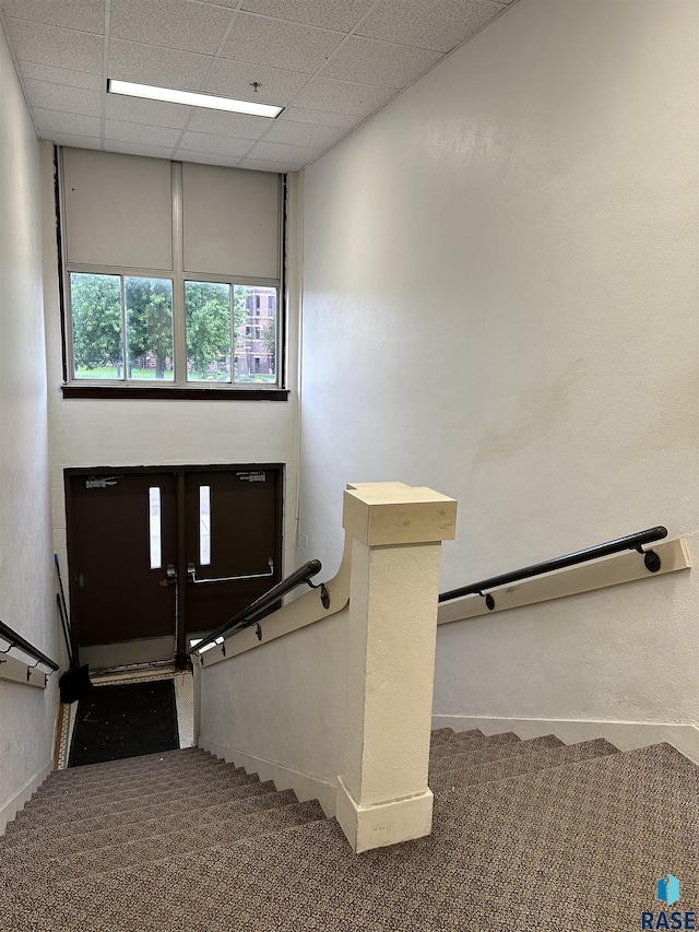109 E Luverne St Unit 220, Luverne, MN 56156 - staircase featuring carpet and baseboards