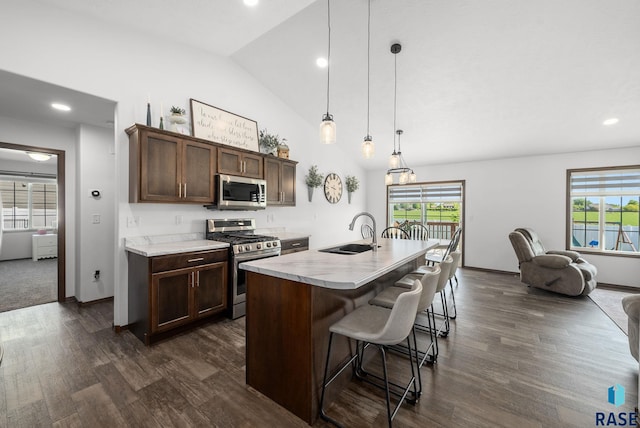 622 Creekside Trl, Harrisburg, SD 57032 - kitchen featuring appliances with stainless steel finishes, a sink, dark wood finished floors, healthy amount of natural light, and lofted ceiling