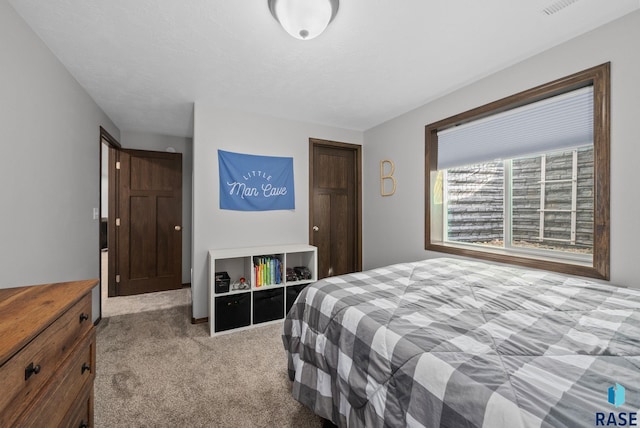 622 Creekside Trl, Harrisburg, SD 57032 - bedroom featuring carpet and a closet