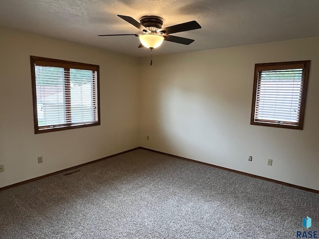 502 E 4th St, Canton, SD 57013 - spare room with healthy amount of natural light, carpet floors, a ceiling fan, and baseboards