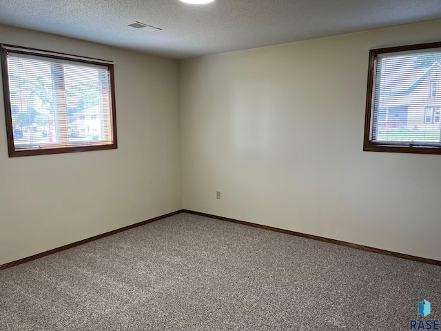 502 E 4th St, Canton, SD 57013 - unfurnished room with plenty of natural light, carpet, baseboards, and a textured ceiling
