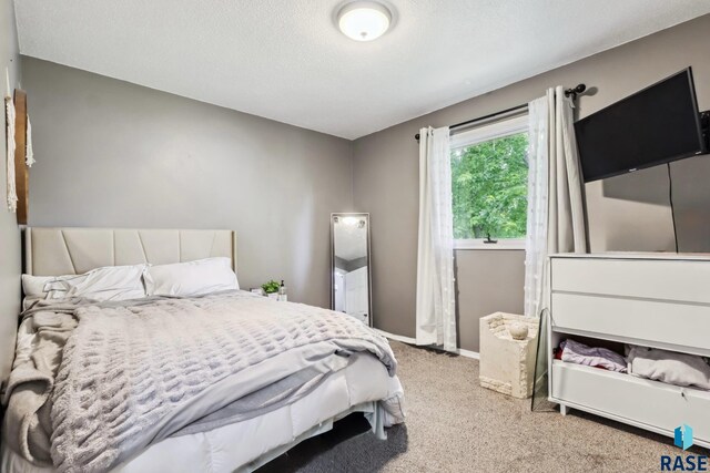 6501 W 46th St, Sioux Falls, SD 57106 - bedroom with carpet flooring and baseboards
