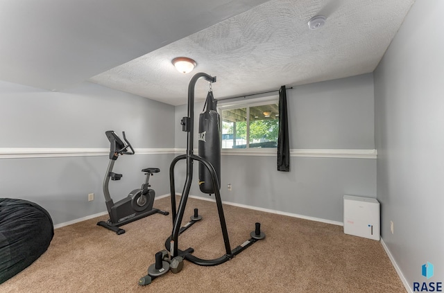 7104 W 68th St, Sioux Falls, SD 57106 - exercise area with a textured ceiling, carpet, and baseboards