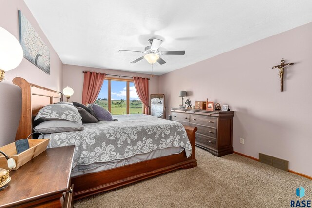 46493 258th St, Hartford, SD 57033 - bedroom with access to exterior, carpet flooring, ceiling fan, and baseboards