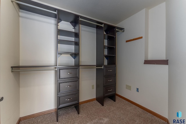 25280 480th Ave, Garretson, SD 57030 - walk in closet with carpet floors