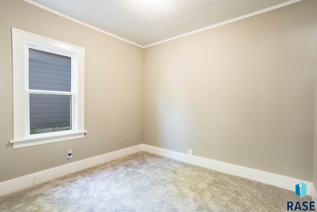 1205 W 14th St, Sioux Falls, SD 57104 - unfurnished room featuring carpet flooring, ornamental molding, and baseboards