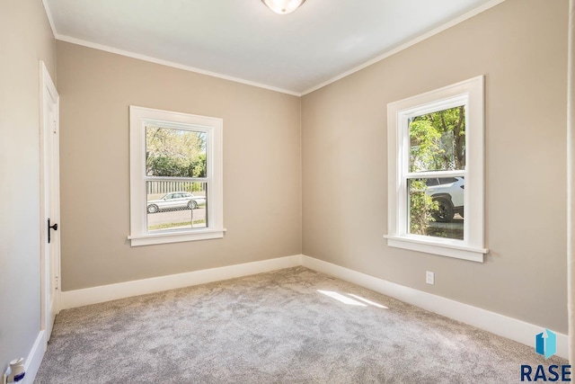 1205 W 14th St, Sioux Falls, SD 57104 - carpeted spare room featuring plenty of natural light, crown molding, and baseboards