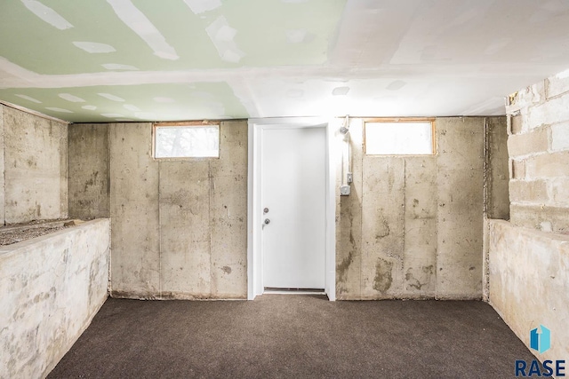 1205 W 14th St, Sioux Falls, SD 57104 - below grade area featuring carpet flooring