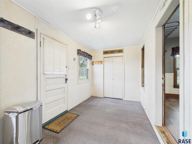 45390 284th St, Hurley, SD 57036 - carpeted entrance foyer with baseboards and elevator