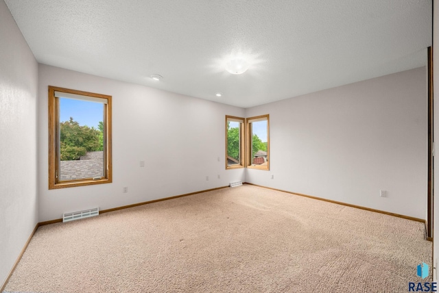 4704 S Pasque Cir, Sioux Falls, SD 57105 - spare room featuring carpet, baseboards, and a textured ceiling