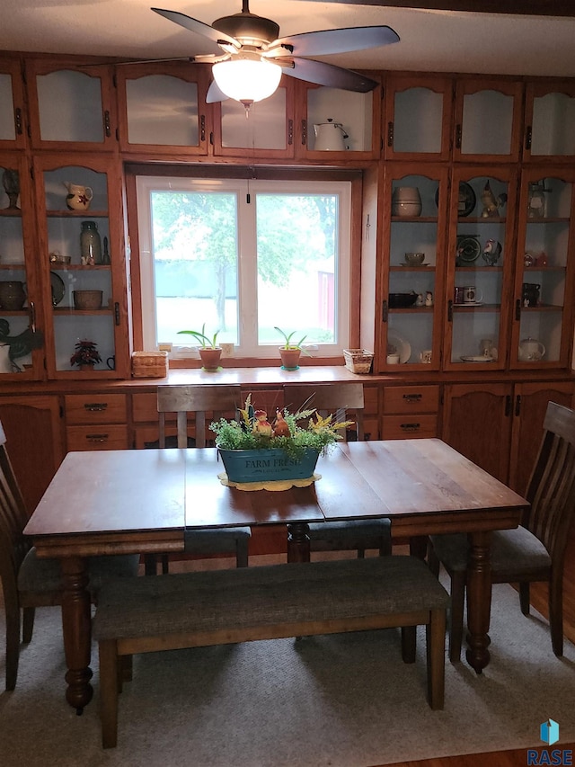 787 70th Ave, Beaver Creek, MN 56116 - dining room with ceiling fan
