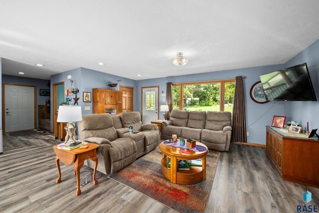 48484 262nd St, Valley Springs, SD 57068 - living room with wood finished floors, recessed lighting, and baseboards