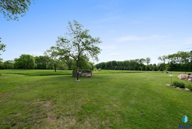 48484 262nd St, Valley Springs, SD 57068 - view of grassy yard with view of scattered trees