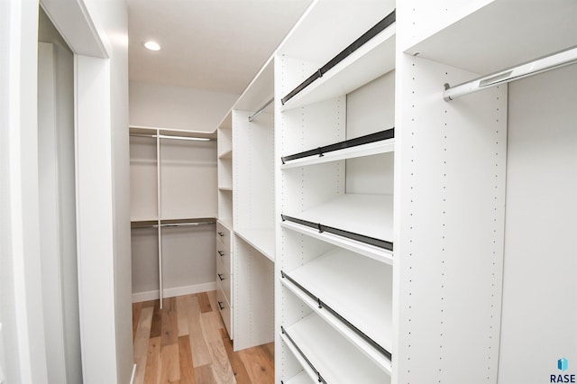 6504 E Hawker Trl, Sioux Falls, SD 57110 - walk in closet with light wood-style floors