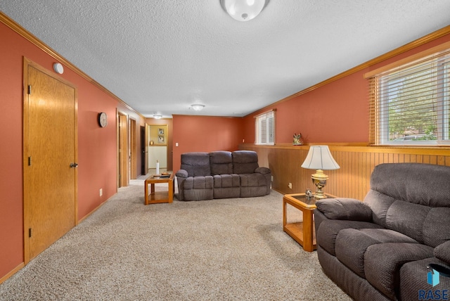 4401 E 28th St, Sioux Falls, SD 57103 - living area with ornamental molding, a textured ceiling, carpet, and a wainscoted wall