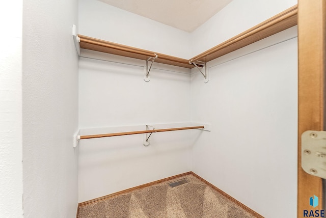 201 N Foss Ave, Sioux Falls, SD 57110 - walk in closet with carpet floors