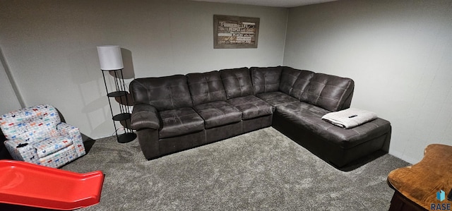2904 S Glendale Ave, Sioux Falls, SD 57105 - view of carpeted living room