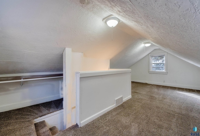 316 S Sherman Ave, Sioux Falls, SD 57103 - additional living space with carpet, a textured ceiling, vaulted ceiling, and baseboards