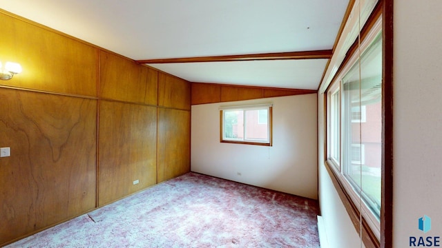 1024 Orchard Dr, Brookings, SD 57006 - unfurnished bedroom with vaulted ceiling, carpet flooring, and a closet
