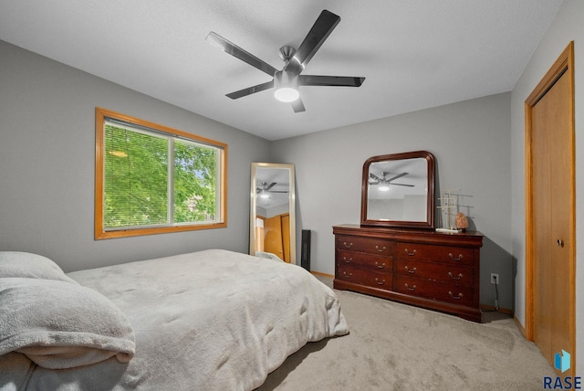 800 N Poplar Ave, Tea, SD 57064 - carpeted bedroom with ceiling fan