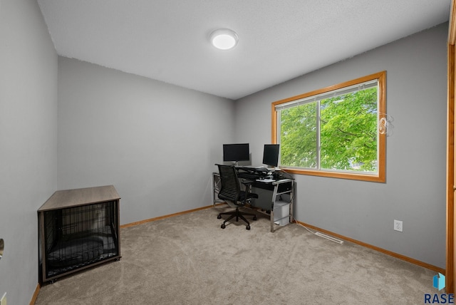 800 N Poplar Ave, Tea, SD 57064 - carpeted office space with baseboards