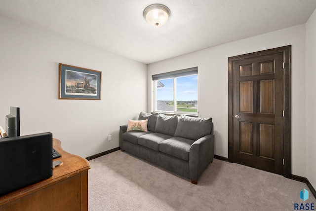 9054 W Ark Pl, Sioux Falls, SD 57106 - living area with light carpet and baseboards