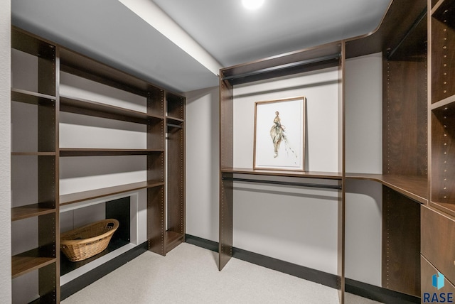 151 E 4th Pl Unit 102, Sioux Falls, SD 57104 - walk in closet with carpet