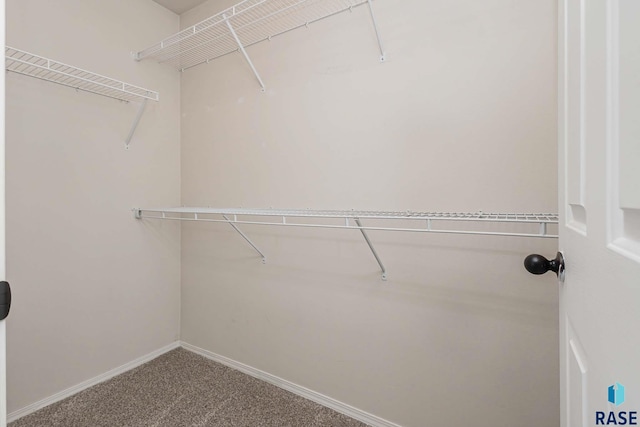 6501 S Santa Rosa Pl, Sioux Falls, SD 57108 - walk in closet featuring carpet floors