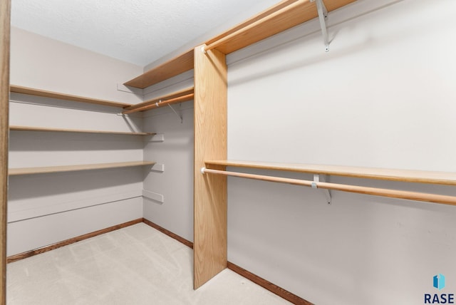 417 E Meadowlark Cir, Brandon, SD 57005 - spacious closet with light colored carpet