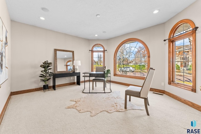 417 E Meadowlark Cir, Brandon, SD 57005 - home office with carpet, baseboards, and recessed lighting