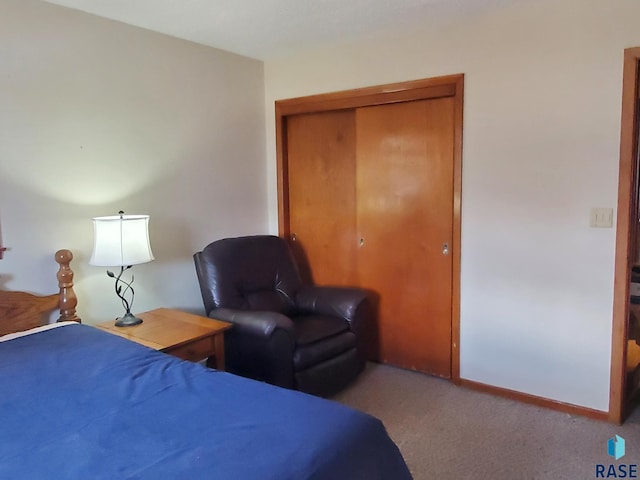 3605 E 18th St, Sioux Falls, SD 57103 - bedroom with carpet and a closet