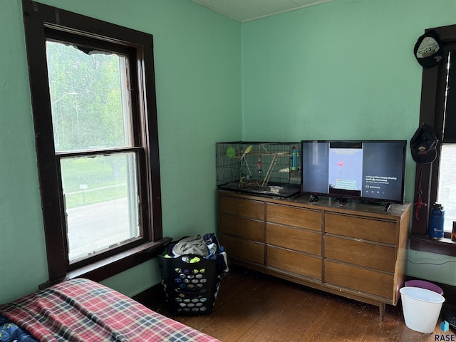 208 E Washington St, Marion, SD 57043 - bedroom with dark wood-style floors and multiple windows