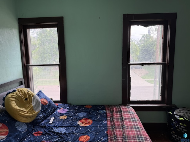 208 E Washington St, Marion, SD 57043 - bedroom featuring multiple windows
