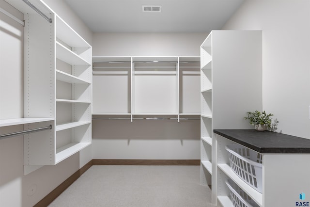 7309 E Shadow Pine Cir, Sioux Falls, SD 57110 - walk in closet featuring carpet flooring