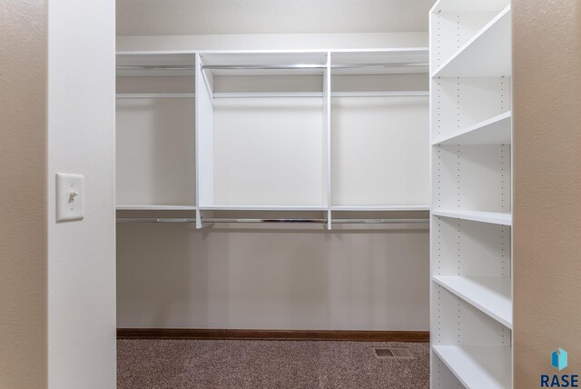 7005 E Archstone St, Sioux Falls, SD 57110 - walk in closet with carpet flooring