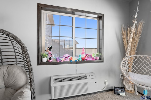 2554 E Meadowside Pl, Sioux Falls, SD 57108 - detailed view of carpet, baseboards, and a wall unit AC