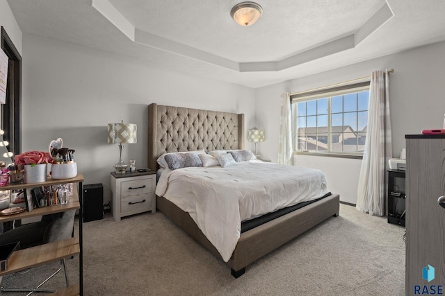 2554 E Meadowside Pl, Sioux Falls, SD 57108 - bedroom featuring a raised ceiling and carpet floors