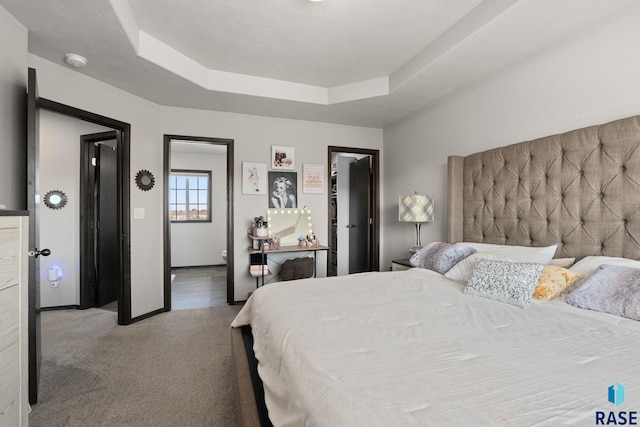 2554 E Meadowside Pl, Sioux Falls, SD 57108 - carpeted bedroom featuring a raised ceiling and a walk in closet